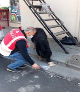 Polis memuru, iftarlık kumanyasını sokak köpeğiyle paylaştı